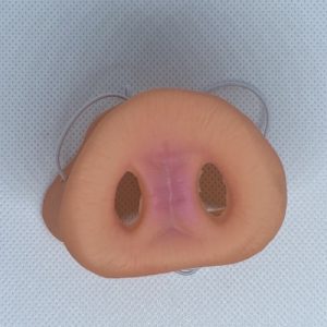 Svínstrýni með teygju